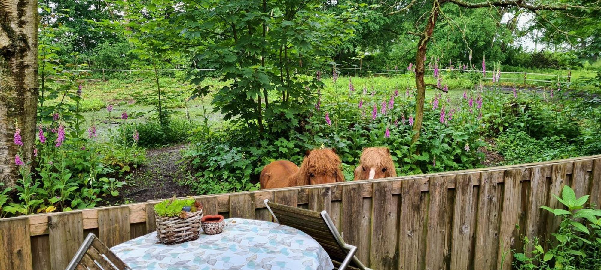 Rust En Stilte In De Natuur Onstwedde Exterior photo